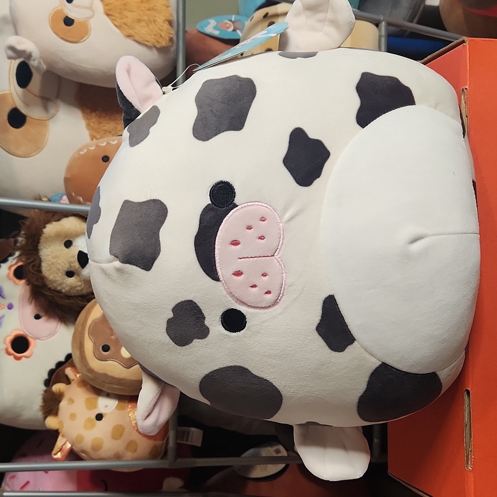Squishmallow Kona the Spotted Seacow 12” NWT
